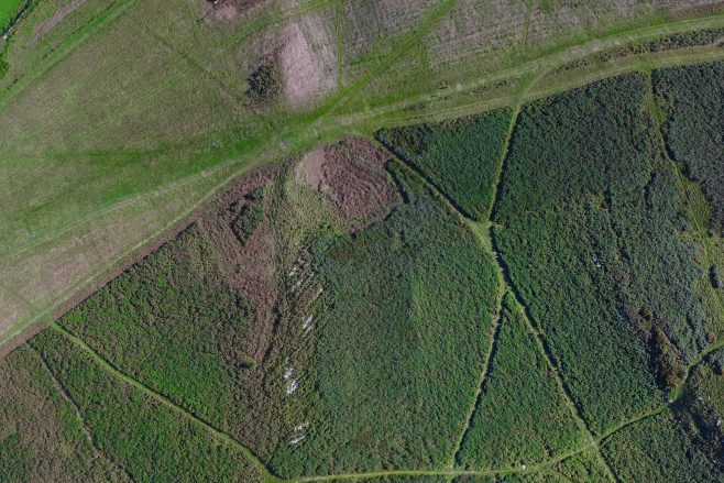 An aerial view  of the enclosure on Birkrigg Common, near Urswick, Ulverston, after bracken clearing.