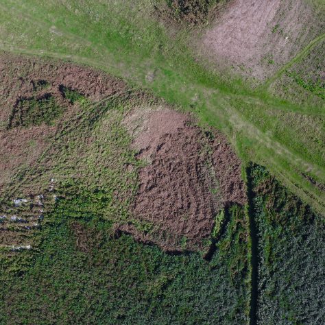 An aerial view of the enclosure on Birkrigg Common, near Urswick, Ulverston, after bracken clearance.