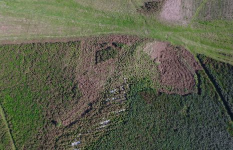 An aerial view of the enclosure on Birkrigg Common, near Urswick, Ulverston, after bracken clearing.