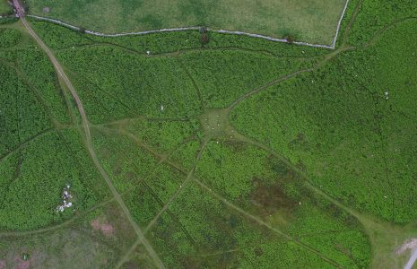 An aerial view of the stone circle on Birkrigg Common, near Urswick, Ulverston, before bracken clearing.