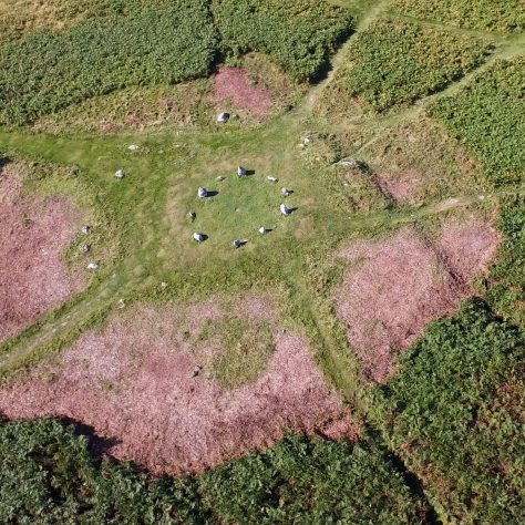 An aerial view of the stone circle on Birkrigg Common, near Urswick, Ulverston, after bracken clearing.