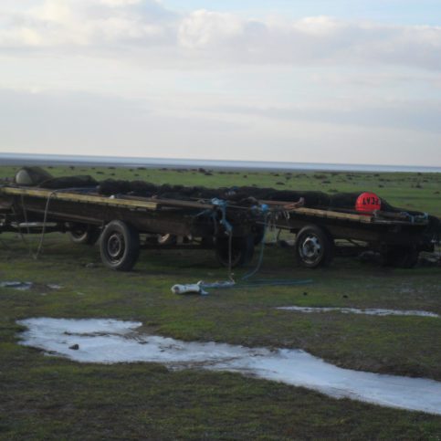Photo of two trailers loaded with fishing nets at Flookburgh Bay, with sea in the background.