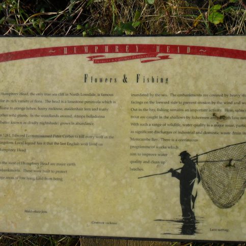 Photo of information board 'Flowers and Fishing' at Humphrey Head