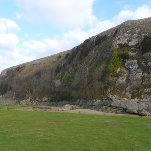View of cliff at Humphrey Head and grassy area on beach.