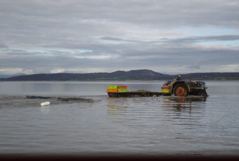 A tractor setting off into a channel dragging 2 shrimp nets