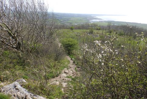 Approaching Warton Crag - A Walk around the Bay - Image 09 - from the Crag Summit